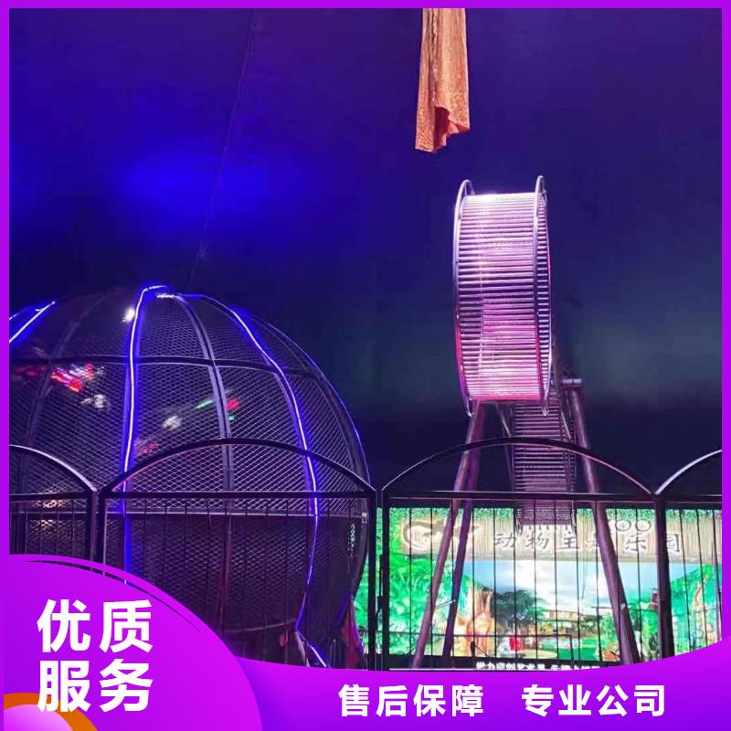 马戏团/羊驼动物表演租赁团队