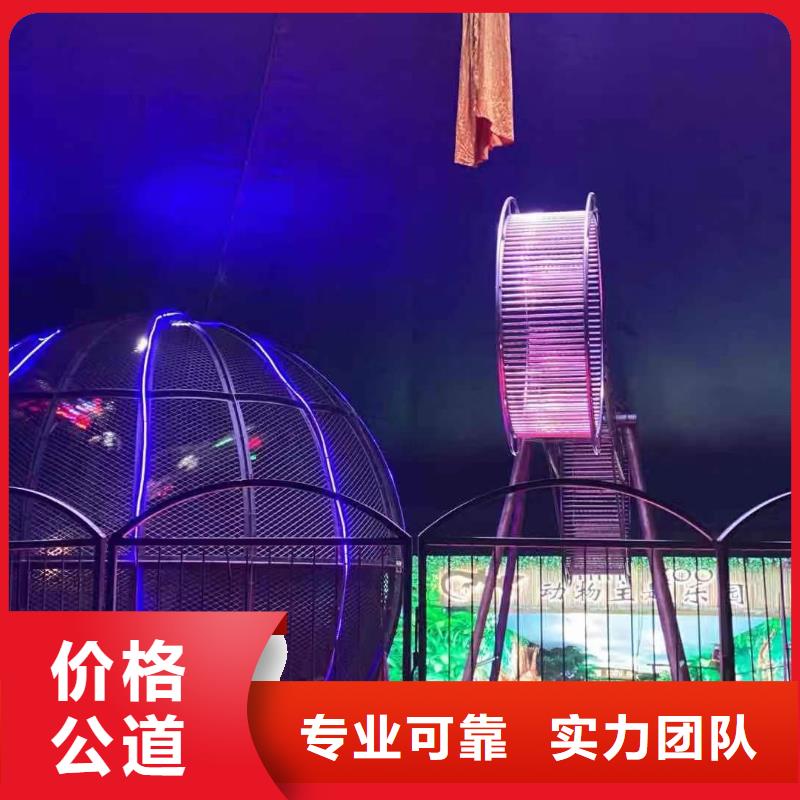 马戏团/羊驼【海狮杂技表演】一站式服务