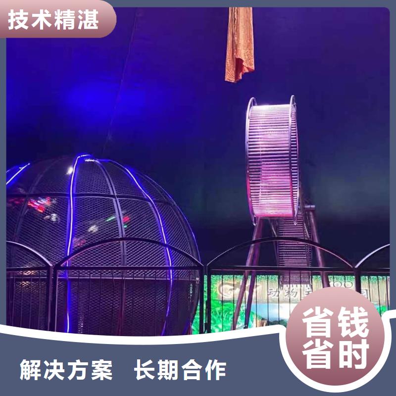 萌宠动物展览点击图片