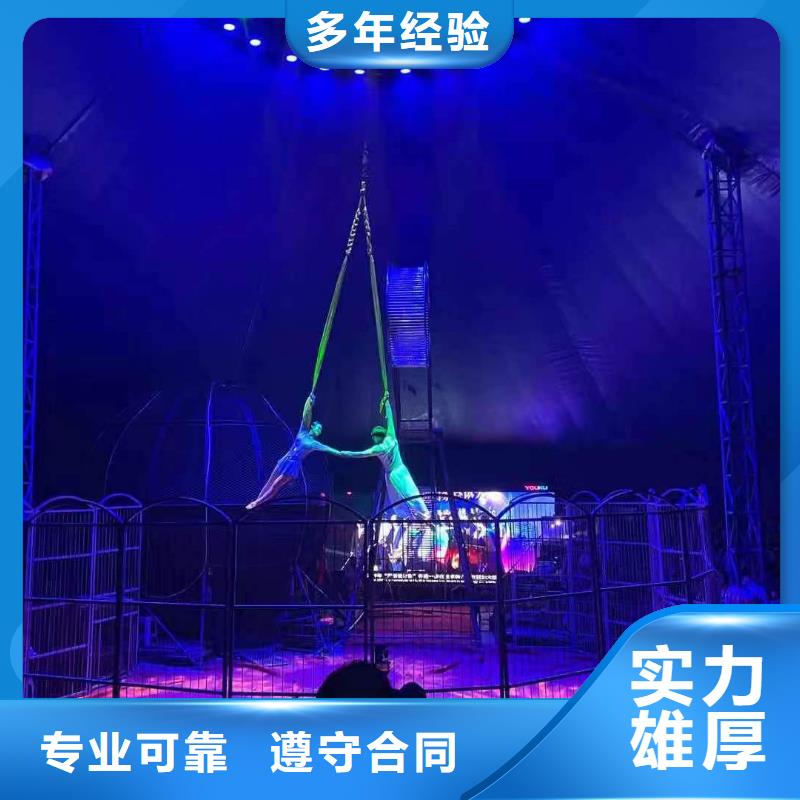 马戏团/羊驼,【海洋展租赁】收费合理