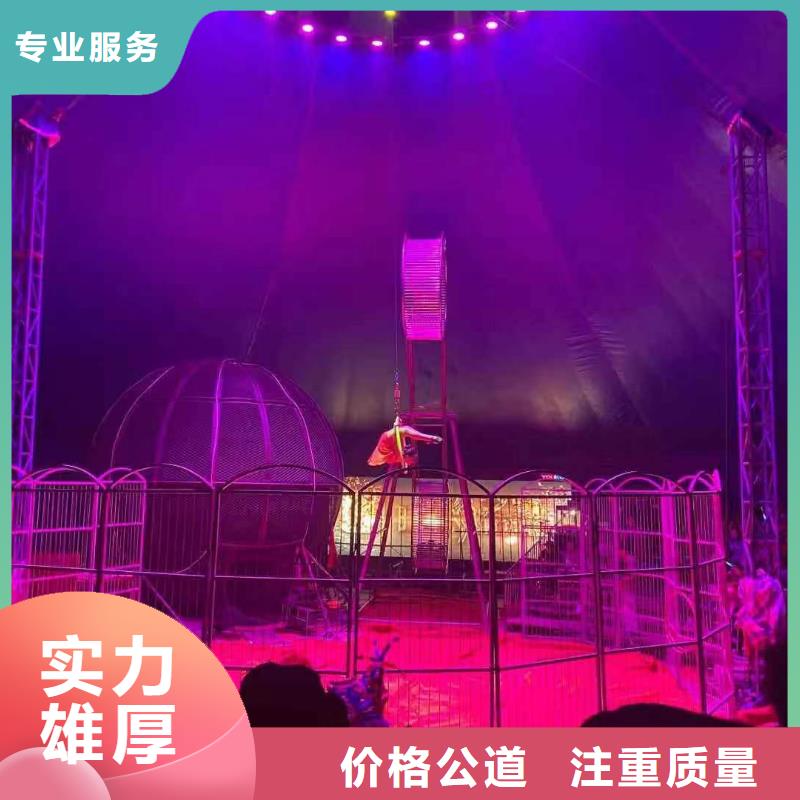 马戏团/羊驼马戏团表演出租租赁一站搞定