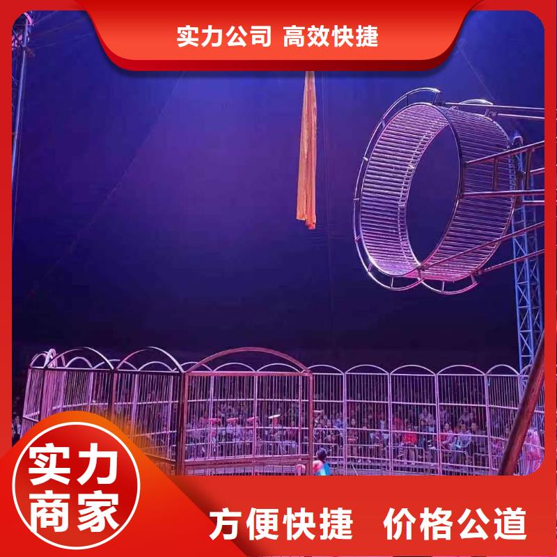 马戏团/羊驼【出租海狮表演】质量保证