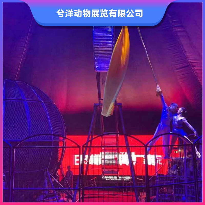 马戏团表演商场活动