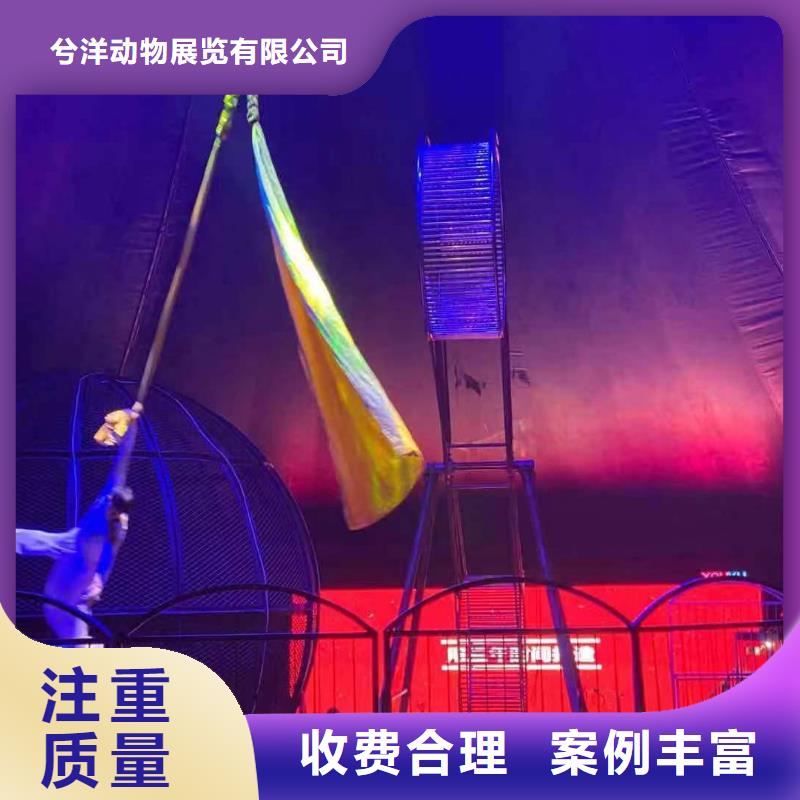 【马戏团/羊驼】_羊驼出租实力强有保证
