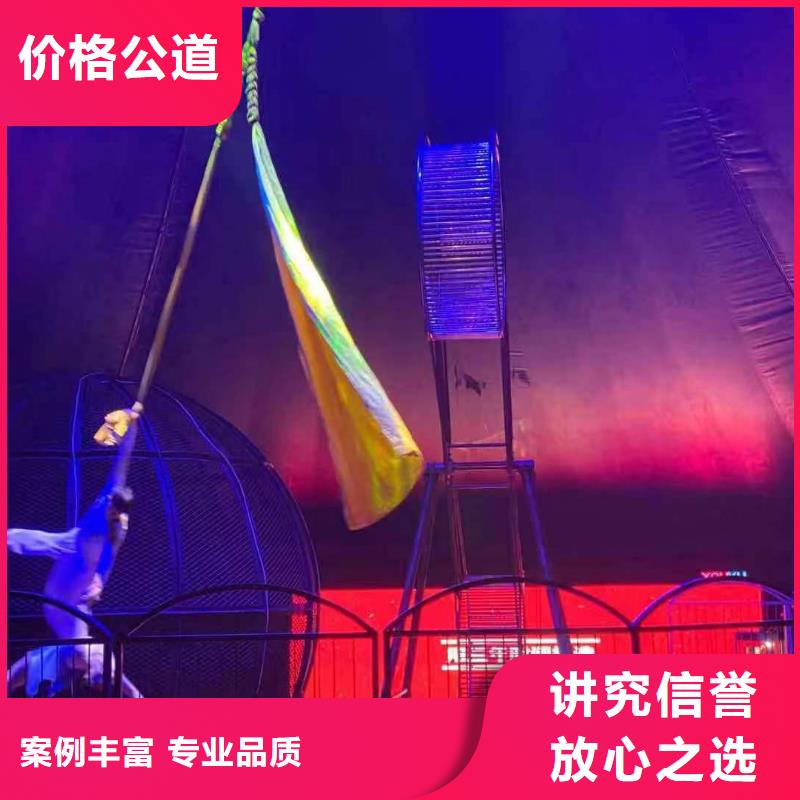马戏团/羊驼 表演动物出租价格美丽
