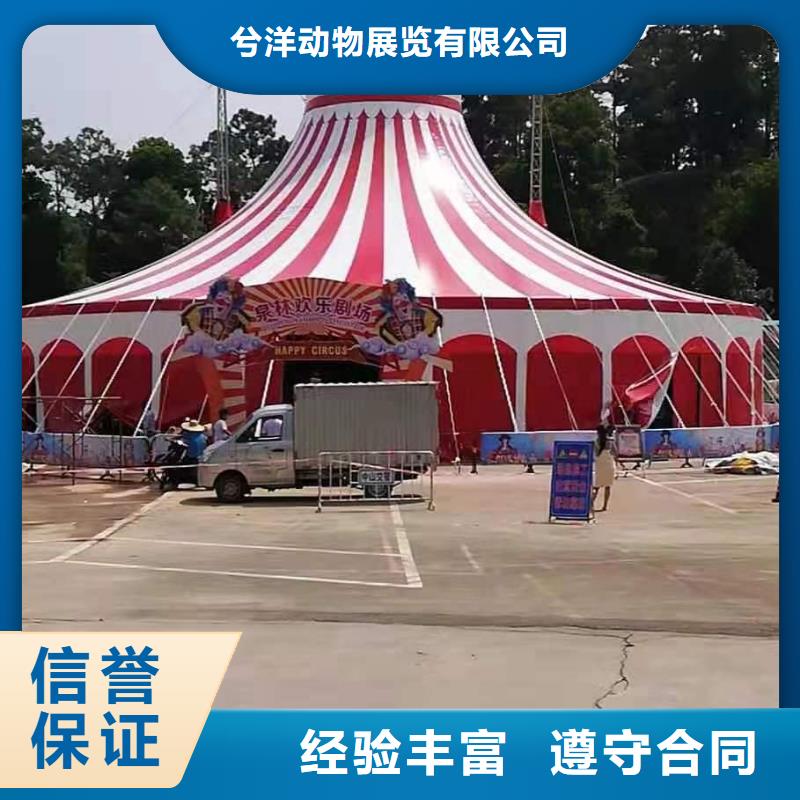 萌宠动物展出租联系方式