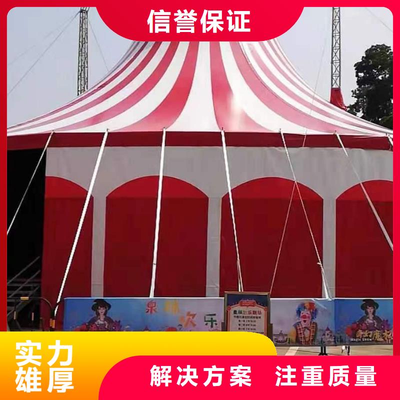 马戏团/羊驼【动物展览秀】精英团队