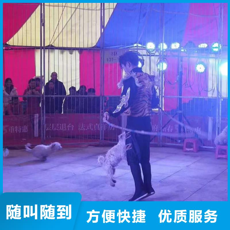 动物展租赁