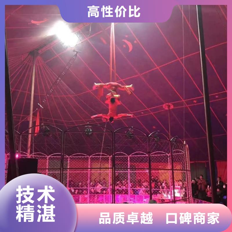 萌宠动物展览点击图片