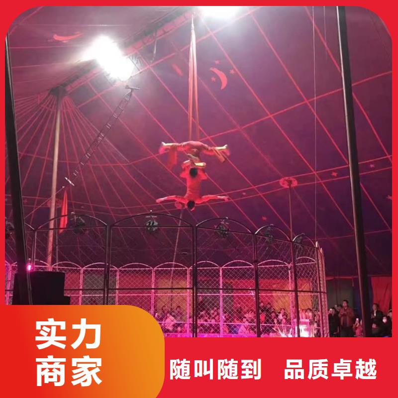羊驼租赁公司实力厂家