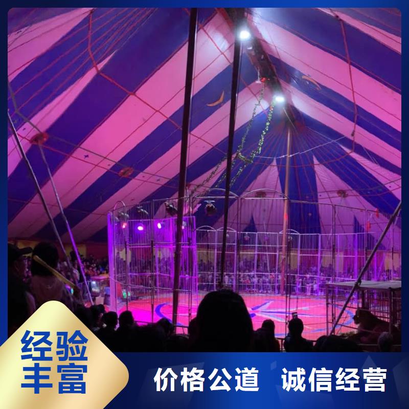 马戏团/羊驼出租马戏团表演价格透明