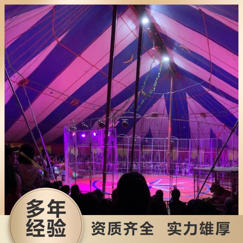 马戏团/羊驼马戏团表演出租租赁一站搞定