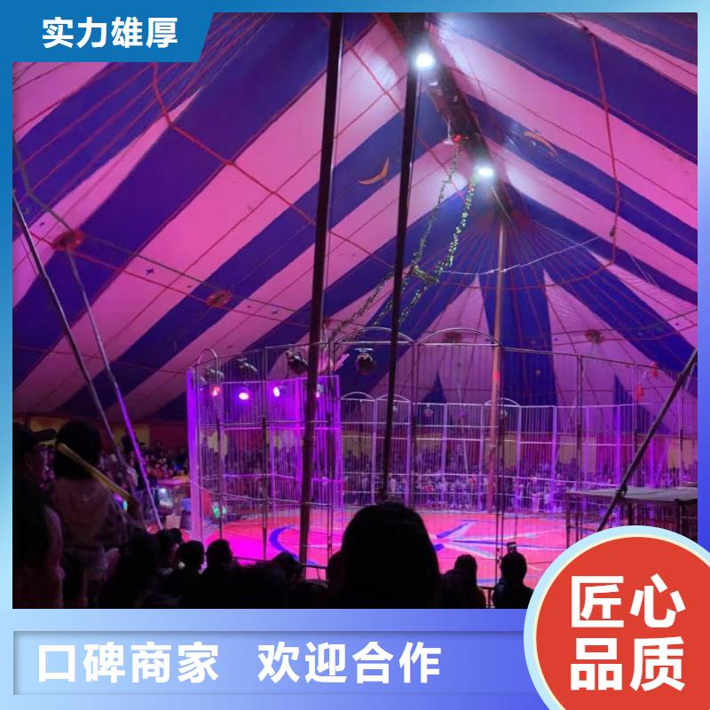 哪有出租马戏团表演的直销厂家