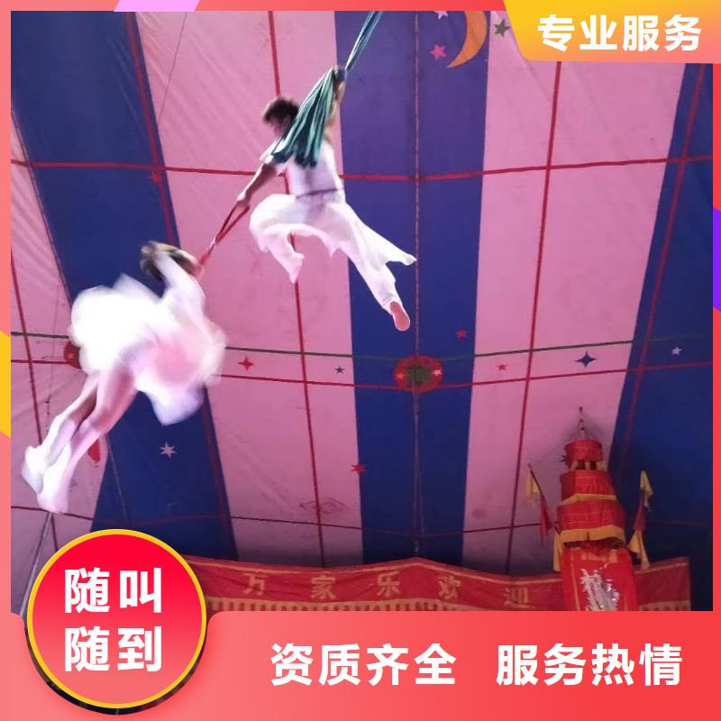 羊驼出租周边