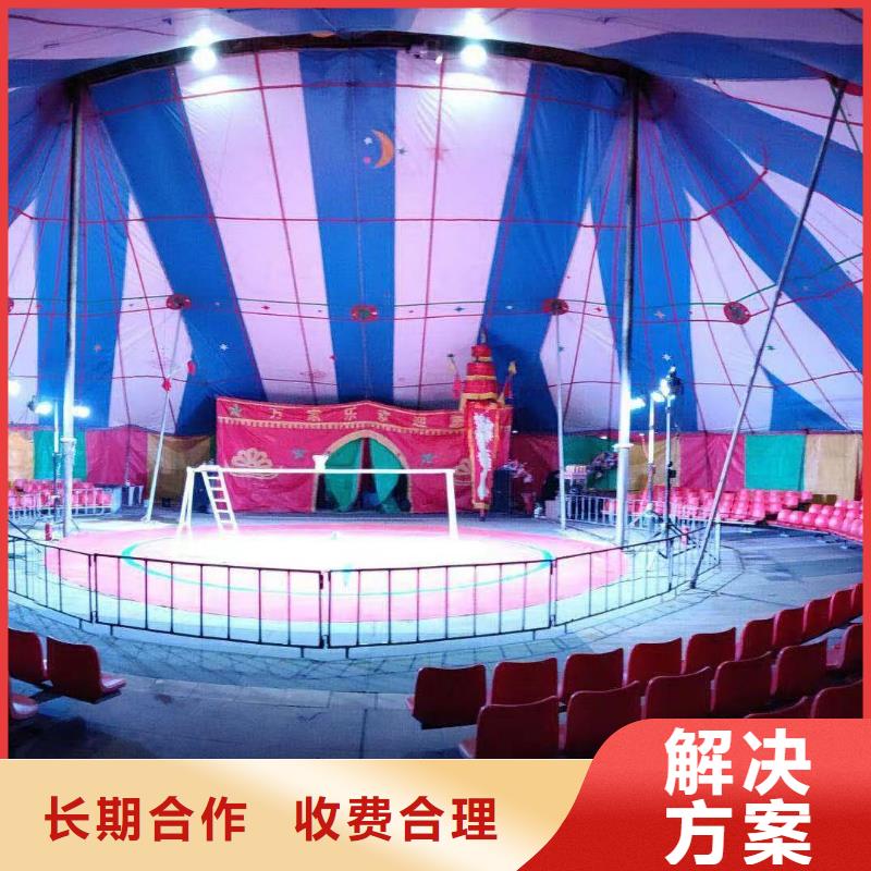 马戏团/羊驼,出租表演海狮品质卓越