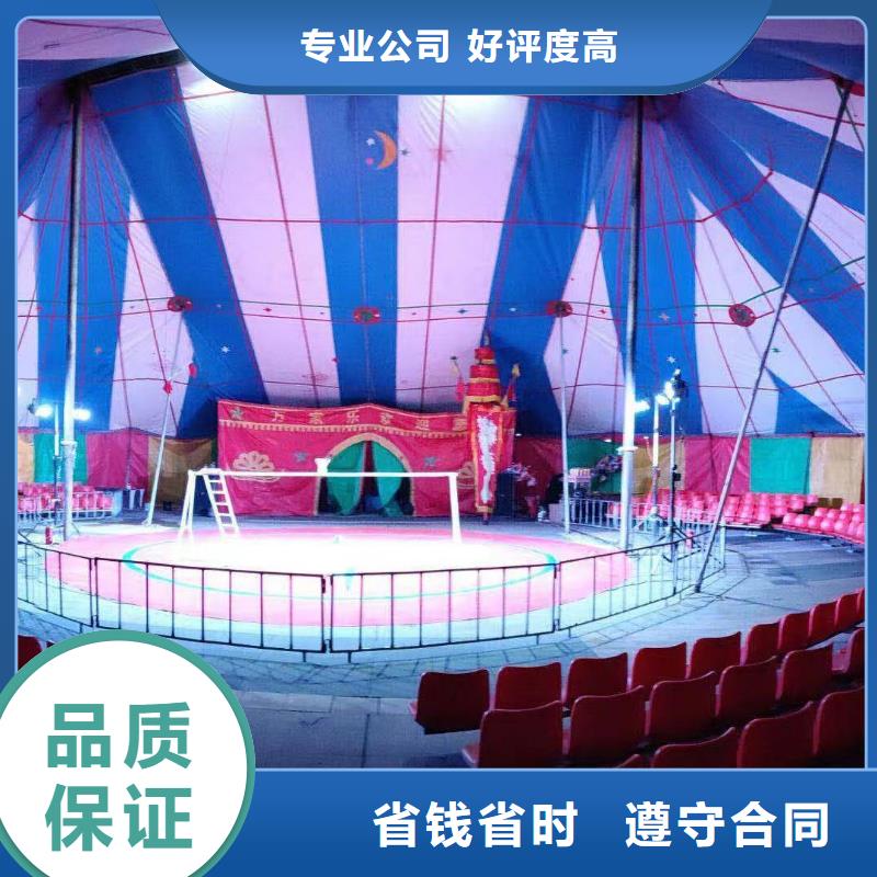 马戏团/羊驼_羊驼出租欢迎询价