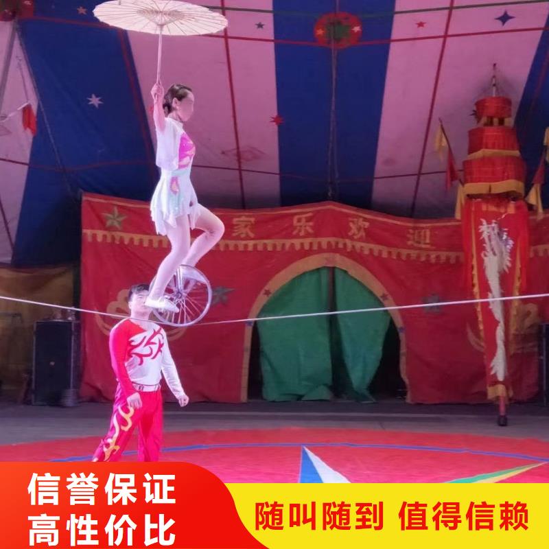 杂技表演租赁实力厂商