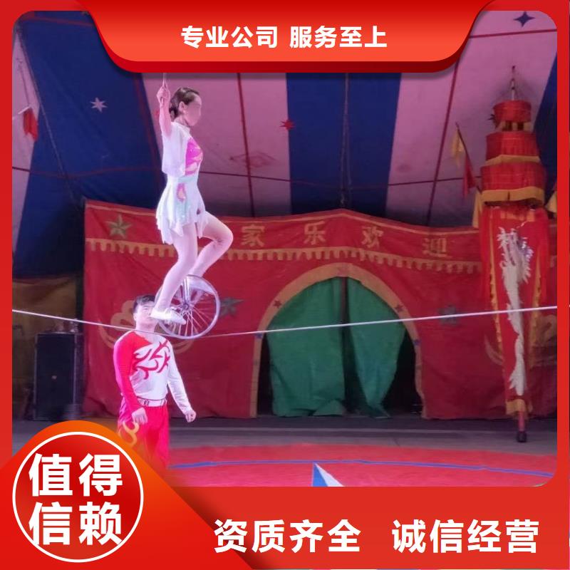 哪有出租马戏团表演的厂家服务完善