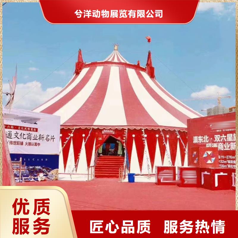 动物展租赁