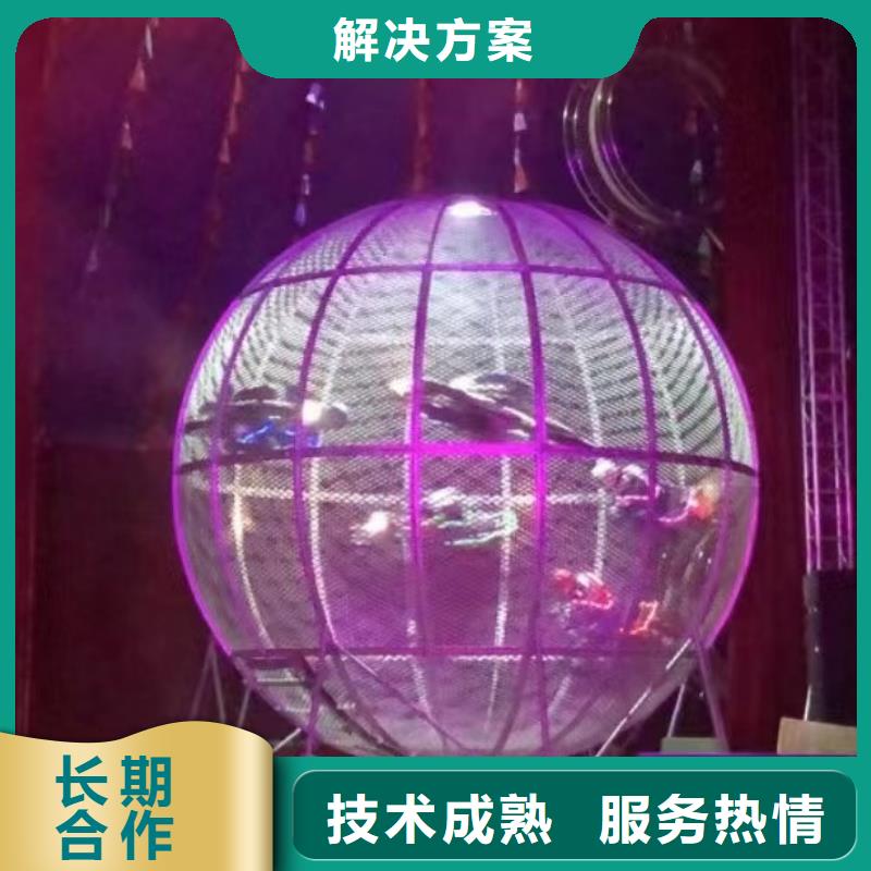马戏团/羊驼出租表演鹦鹉公司
