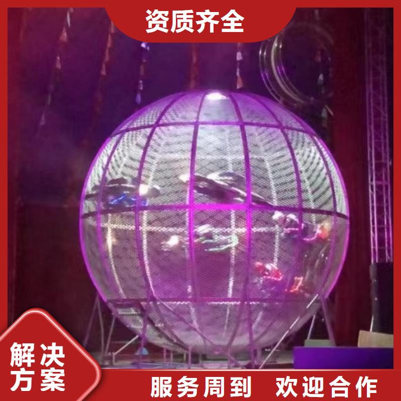 马戏团/羊驼-小马戏表演出租正规团队