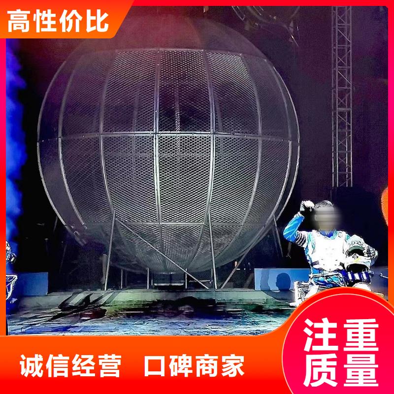 马戏团/羊驼【海狮杂技表演】收费合理