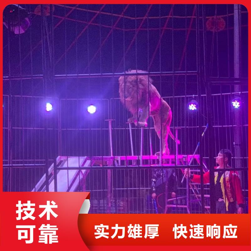 马戏团/羊驼企鹅租赁售后保障