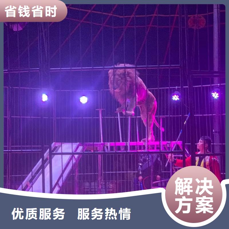 【马戏团/羊驼-羊驼出租正规团队】