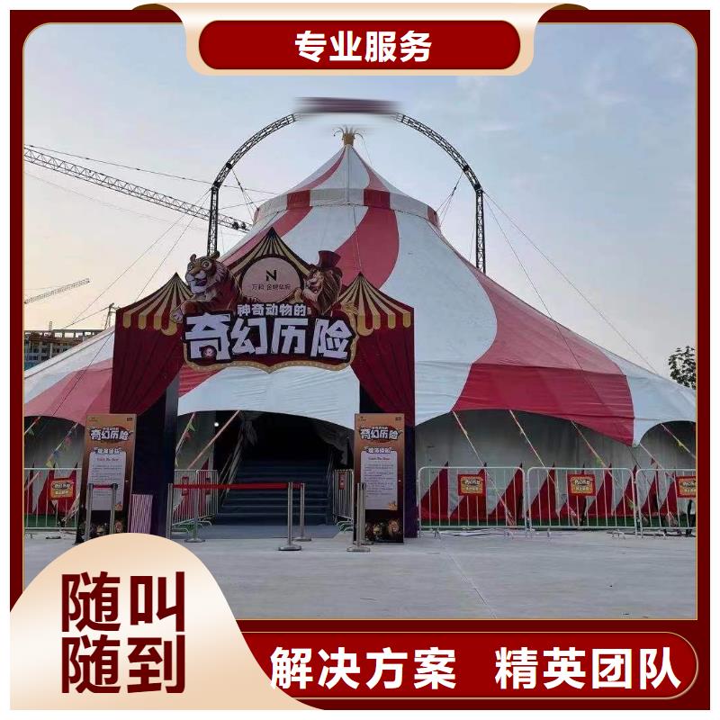 马戏团/羊驼【海狮杂技表演】收费合理