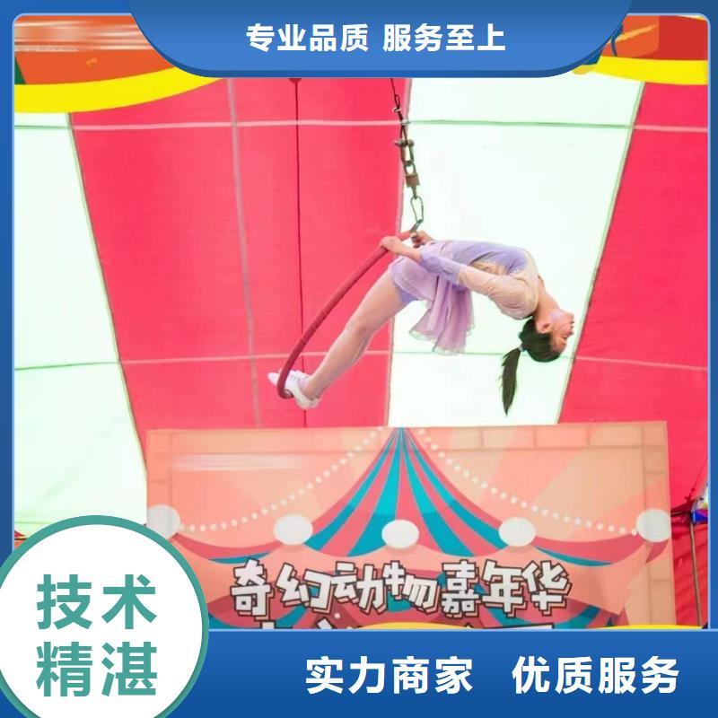 哪有出租马戏团表演的厂家服务完善
