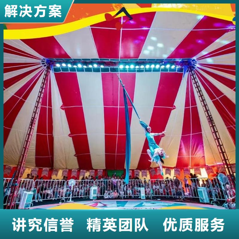马戏团/羊驼【美人鱼表演】承接