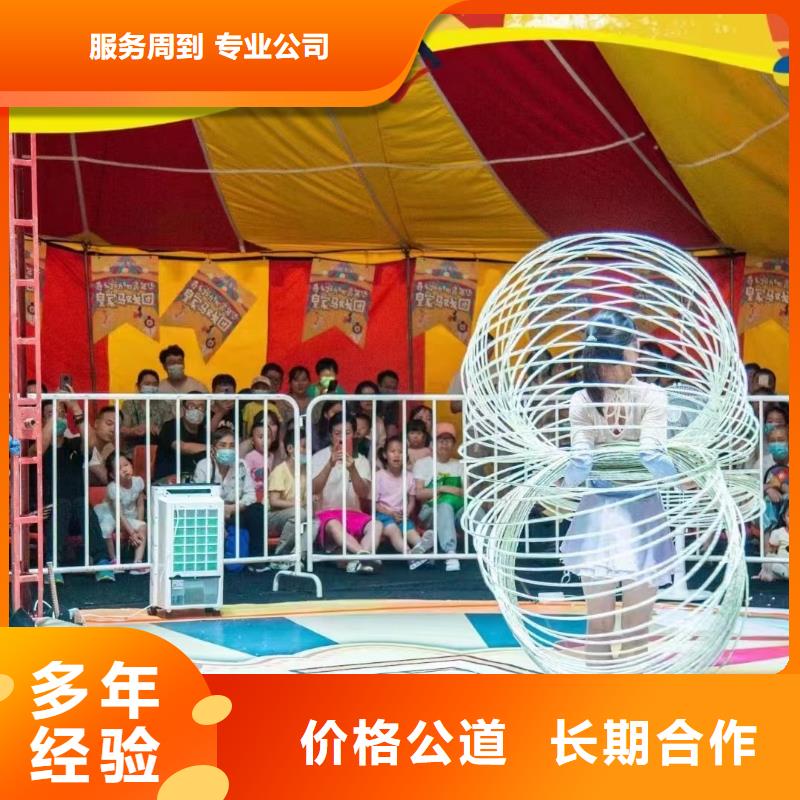 马戏团/羊驼,【海洋展租赁】收费合理