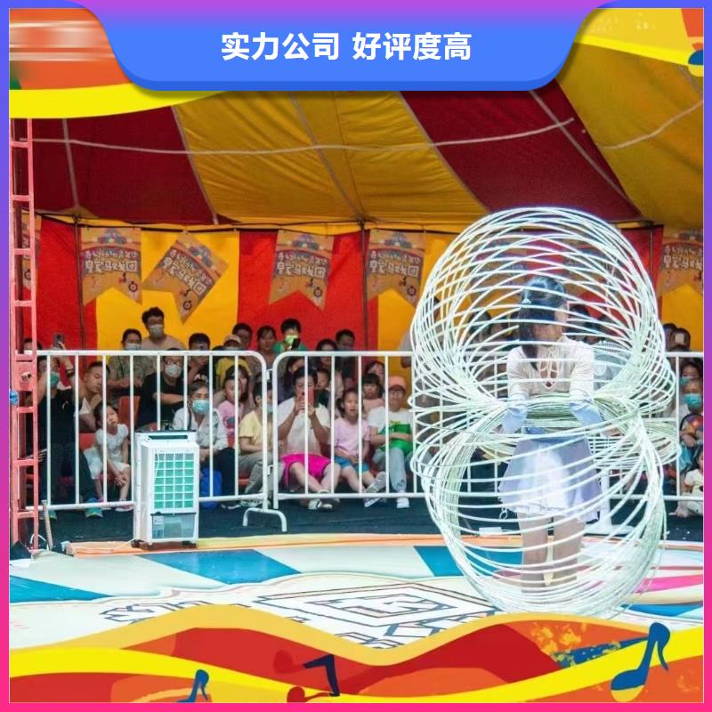 马戏团/羊驼_观赏性羊驼租赁2025公司