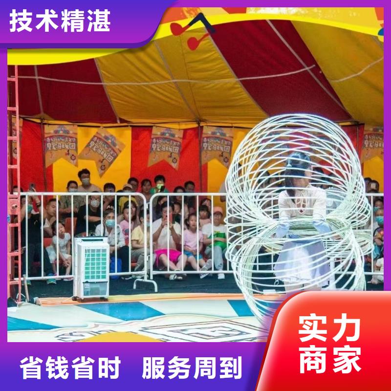 马戏团/羊驼-出租企鹅值得信赖