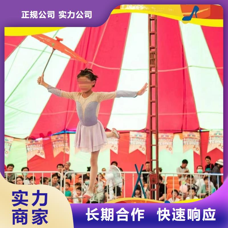 马戏团/羊驼【动物展览秀】精英团队