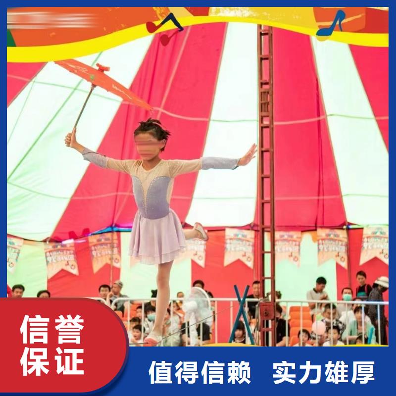 马戏团/羊驼 出租马戏表演口碑商家