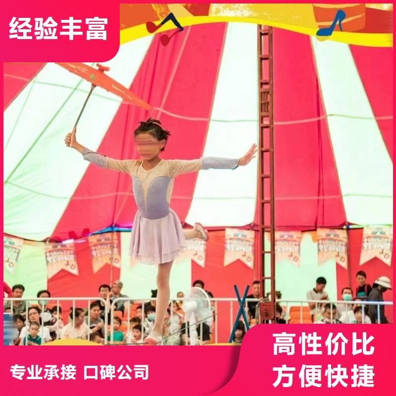 马戏团/羊驼【海狮杂技表演】收费合理