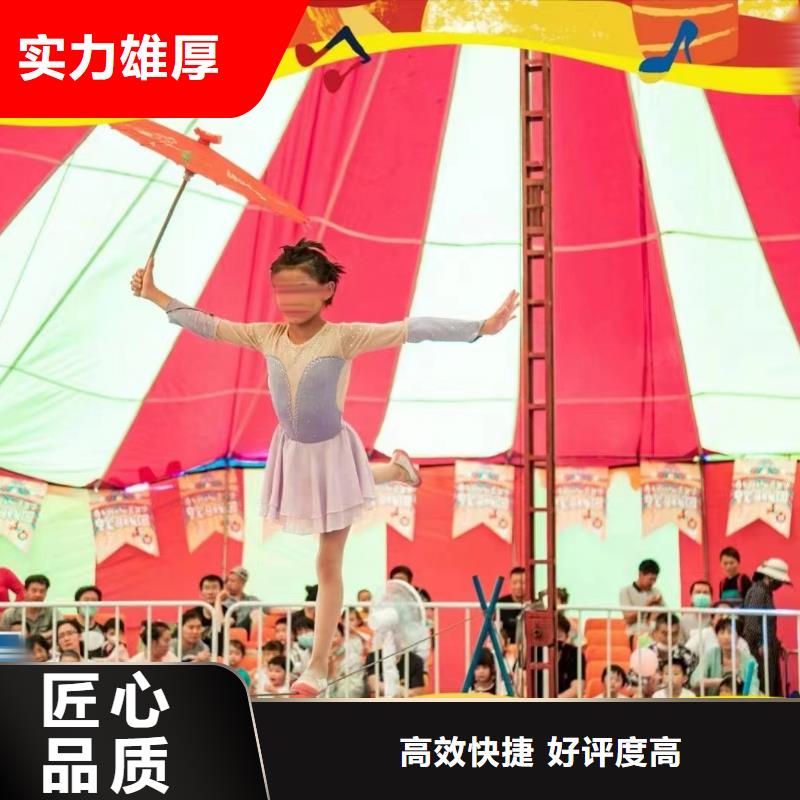 马戏团/羊驼-出租企鹅值得信赖
