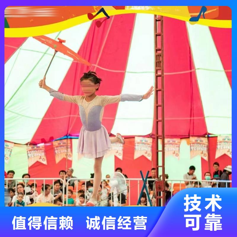 羊驼租赁活跃气氛