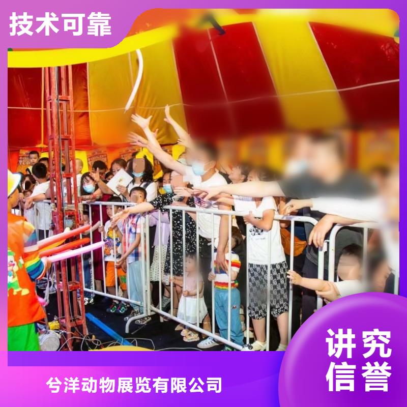 马戏团/羊驼-小马戏表演出租正规团队