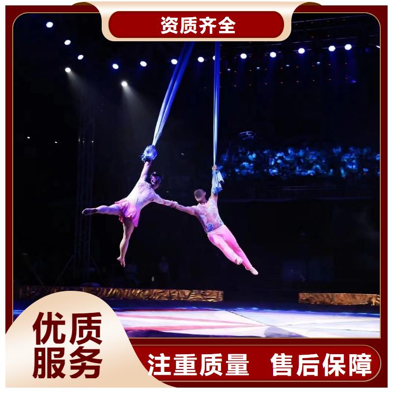 马戏团/羊驼_观赏性羊驼租赁2025公司