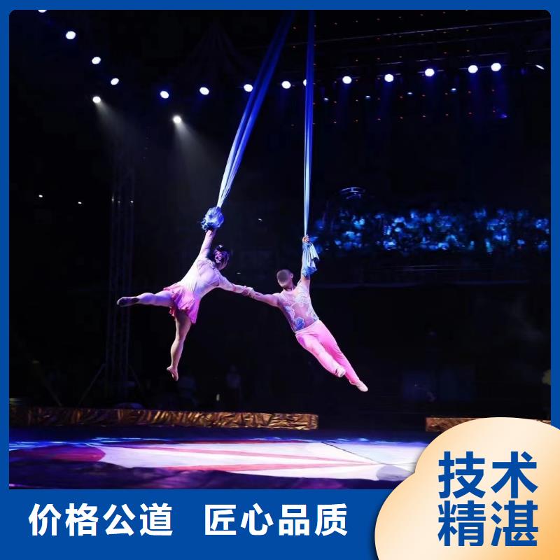 马戏团/羊驼-海狮表演出租先进的技术