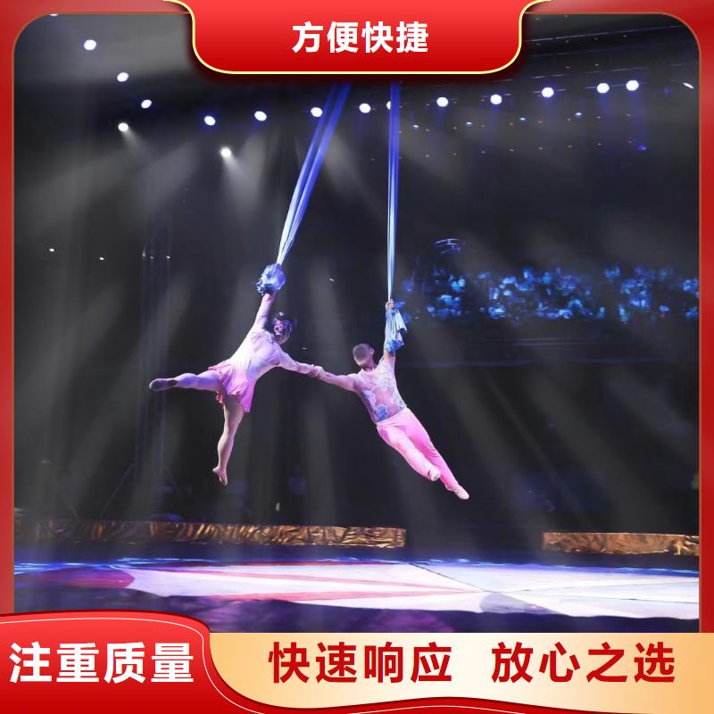马戏团/羊驼【【出租企鹅表演】】专业承接