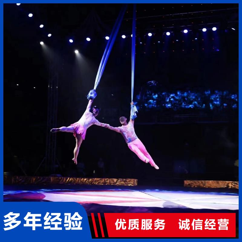 马戏团/羊驼 企鹅出租承接