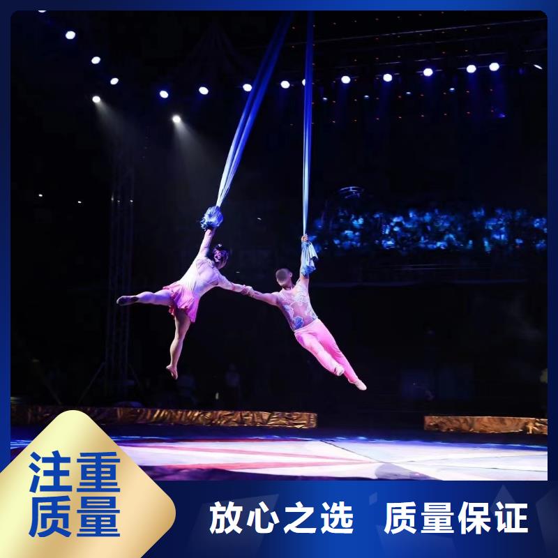 马戏团/羊驼_羊驼出租欢迎询价