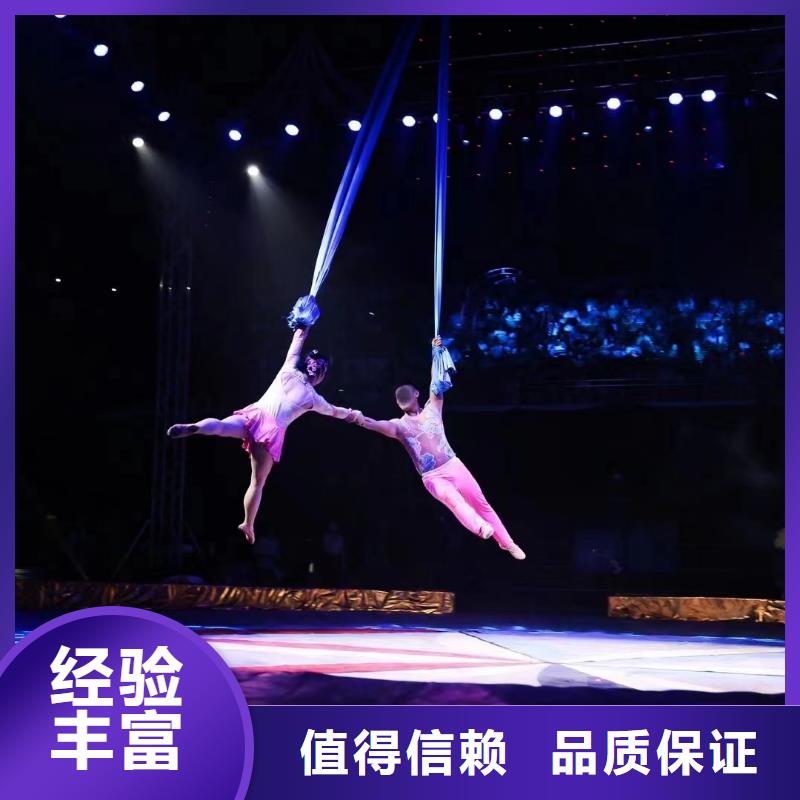 马戏团/羊驼商场马戏表演出租专业团队