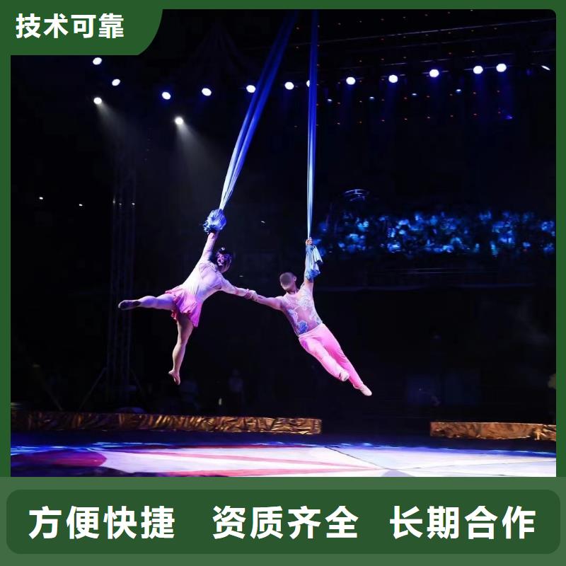 马戏团/羊驼 出租马戏表演口碑商家