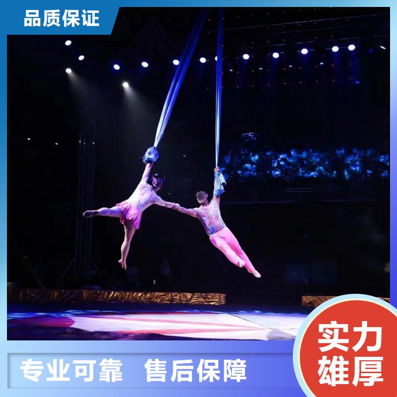 马戏团/羊驼马戏团表演出租租赁从业经验丰富
