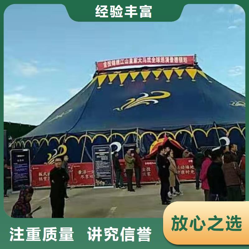 马戏团/羊驼【动物展览秀】精英团队