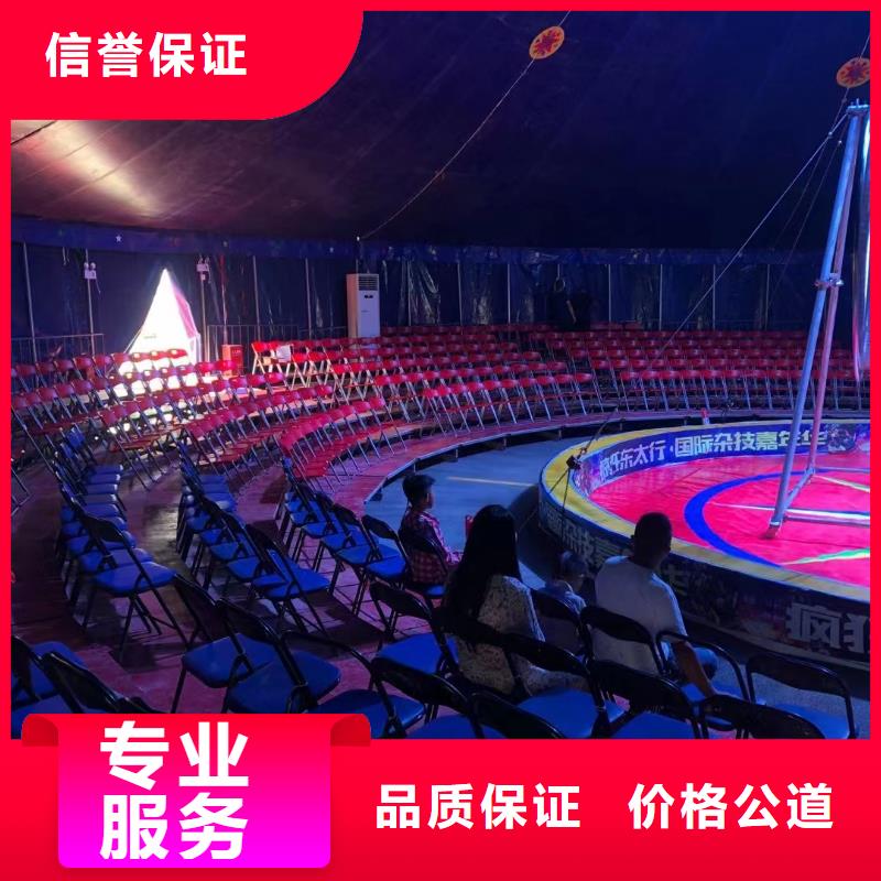 马戏团/羊驼,死轮表演欢迎询价